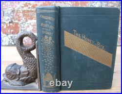 1919 Langstroth on the Hive and Honey Bee