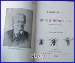 1919 Langstroth on the Hive and Honey Bee