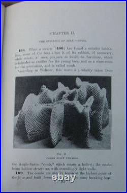 1919 Langstroth on the Hive and Honey Bee