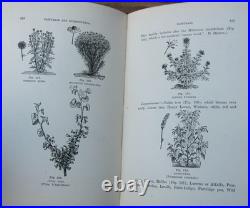 1919 Langstroth on the Hive and Honey Bee