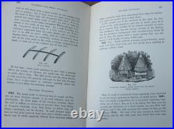 1919 Langstroth on the Hive and Honey Bee