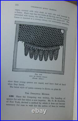 1919 Langstroth on the Hive and Honey Bee