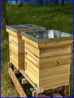 1 X National Bee Hive With Frames And Wired Wax Foundation Flat Pack