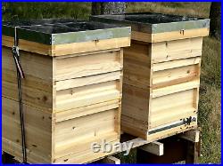 1 X National Bee Hive With Frames And Wired Wax Foundation Flat Pack