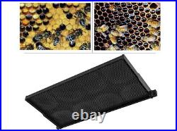 20 Beehive Plastic Frames Foundations Langstroth Bee Hive Deep Box Beekeeping