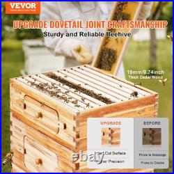 20 Frame Beehive Starter Kit Cedar Wood Beeswax Coated 1 Deep 1 Medium Acrylic