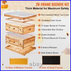 20 Frame Cedar Bee Hive Starter Kit with Acrylic Windows and Foundations for