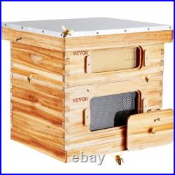 20 Frame Cedar Bee Hive Starter Kit with Acrylic Windows and Foundations for