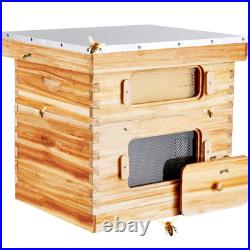 20 Frame Langstroth Beehive Kit Beeswax Coated Fir Wood with Acrylic Windows 20 Frame Langstroth Beehive Kit Beeswax Coated Fir Wood with Acrylic Windows