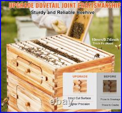 20 Frame Langstroth Beehive Kit Beeswax Coated Fir Wood with Acrylic Windows 20 Frame Langstroth Beehive Kit Beeswax Coated Fir Wood with Acrylic Windows
