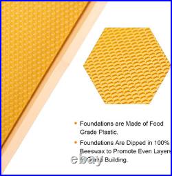 20 Pack Medium Beehive Frames Beeswax Foundation 6-1/4in Wooden Bee Hive