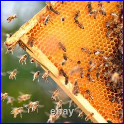 20 Pack Medium Beehive Frames Beeswax Foundation 6-1/4in Wooden Bee Hive