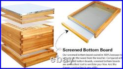 2Pcs Beehive Screened Bottom Board 10 Frame Langstroth Bee Hive Screened Bottom