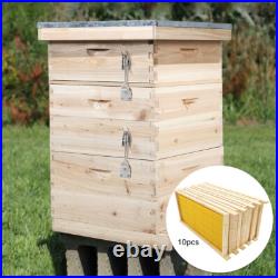 2/3/4Tier Langstroth Honey Beehive Box Beekeeping, Honeycomb Foundation Frame Set