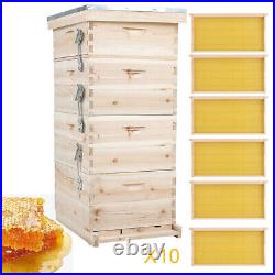 2/3/4 Tier Langstroth Beehive Box Beekeeping Beehive Kit Hives Brood Box, Supers