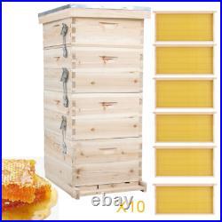 2/3/4 Tier Langstroth Beehive Wax Foundation Sheet Frame Wood BeeHive Beekeeping