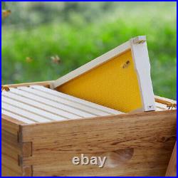 2/3/4 Tier Langstroth Brood Beehive Box Fir Wood Beekeeper Hive Frame Foundation