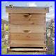 2_Layer_10_Frames_Bee_House_Kit_Bee_Keeping_Box_House_For_Bee_Hive_Beekeeping_01_tuo