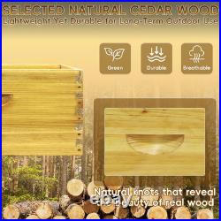 2 Pack 10-Frame Langstroth Bee Hive Deep Brood Boxes, Beeswax Coated Beehive Box