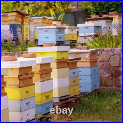 2 Pcs 10 Frame Bee Hive Box