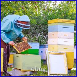 2 Pcs 10 Frame Bee Hive Box