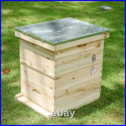2 Tier Langstroth Beehive Box Wooden Bee Hive Beekeeping Honey Brood Box Beekeep