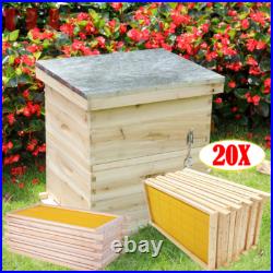 2 Tiers Langstroth Beehive Wooden Bee Hive House Brood Box Beekeeper Beekeeping