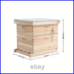 2 Tiers Langstroth Beehive Wooden Bee Hive House Brood Box Beekeeper Beekeeping