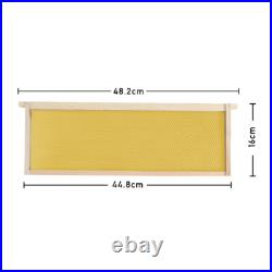 2 Tiers Langstroth Beehive Wooden Bee Hive House Brood Box Beekeeper Beekeeping