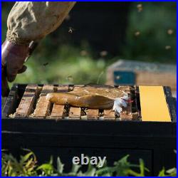 30PCS Natural Honeycomb Beehive Wax Base Sheets Beekeeping Sheet