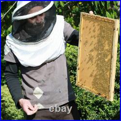 30PCS Natural Honeycomb Beehive Wax Base Sheets Beeswax Foundation