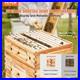 30_Frame_Bee_Hive_Kit_Beeswax_Coated_Wood_Deep_Medium_Boxes_with_Acrylic_01_qy