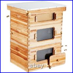 30 Frame Bee Hive Starter Kit Langstroth Deep Medium Bee Boxes Acrylic Windows 30 Frame Bee Hive Starter Kit Langstroth Deep Medium Bee Boxes Acrylic Windows