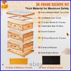 30 Frame Bee Hives Starter Kit, 2 Deep + 1 Medium Bee Boxes, 12 Months Warranty 30 Frame Bee Hives Starter Kit, 2 Deep + 1 Medium Bee Boxes, 12 Months Warranty