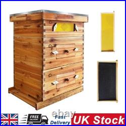 30-Frame Wooden Beehive Kit Includes 2 Deep & 1 Medium Bee Box with Acrylic Window