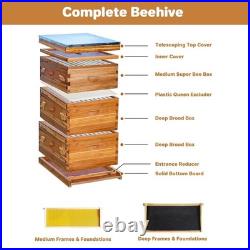 30-Frame Wooden Beehive Kit Includes 2 Deep & 1 Medium Bee Box with Acrylic Window
