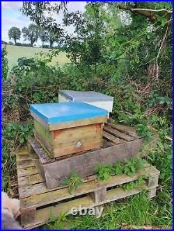 3 Beehives for sale 3 years old