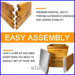 3-Layer Bee Hive Beehive Kit Langstroth Bee Hives