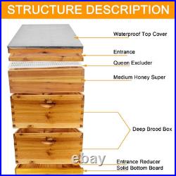 3-Layer Bee Hive Beehive Kit Langstroth Bee Hives