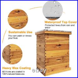 3-Layer Bee Hive Beehive Kit Langstroth Bee Hives