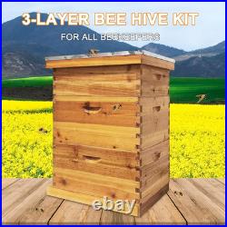 3-Layer Bee Hive Beehive Kit Langstroth Bee Hives