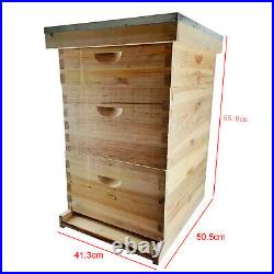 3 Layer Bees House Beekeeping Box 10 Frames Wood Complete Honey Bee Hive Kit UK