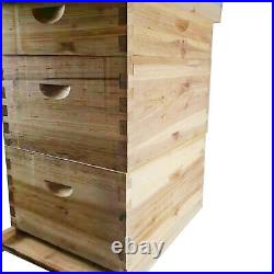 3 Layer Bees House Beekeeping Box 10 Frames Wood Complete Honey Bee Hive Kit UK