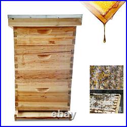 3-Layers Bees House Beekeeping Box 8 Frames Wood Complete Honey Bee Hive Kit UK