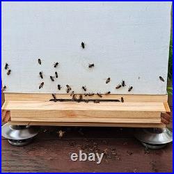 3 Pack Bee Hive Feet Beehive Stand Base Accessories Antproof Legs