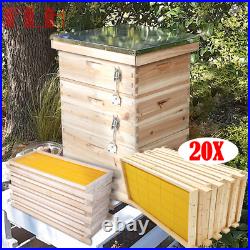 3 Tier Langstroth Beehive Box +20Pc Super & Brood Bee Hive Frames and Foundation