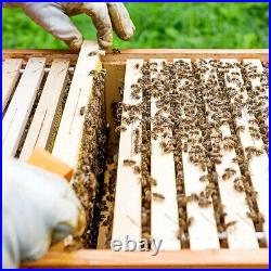3 Tier Langstroth Beehive Box +20Pc Super & Brood Bee Hive Frames and Foundation