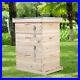 3_Tier_Langstroth_Beehive_Box_Beekeeping_Honey_Bee_Hive_Frames_Beekeeper_Box_UK_01_qmk