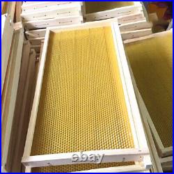 3 Tier Wooden Langstroth Beehive Box Brood Hive Frames Beekeeping Honey Boxes UK
