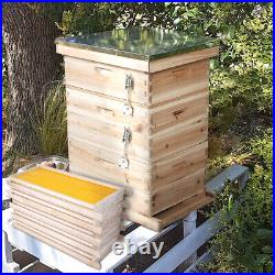 3 Tiers Langstroth Beehive Box Hive+10 Pack Brood Bee Hive Frames and Foundation